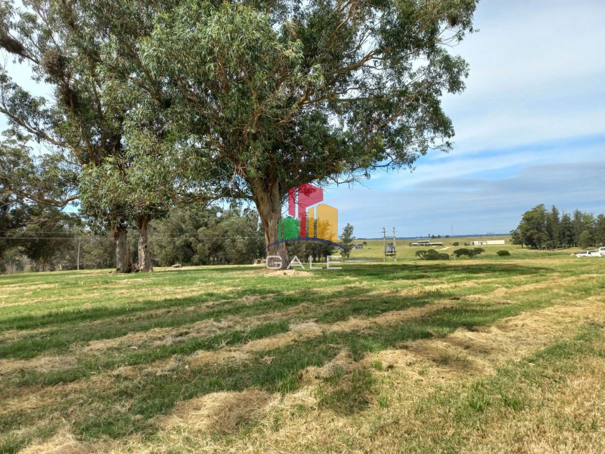 Terreno ID.4981 - Terreno en venta de 5000 m2 en El Quijote