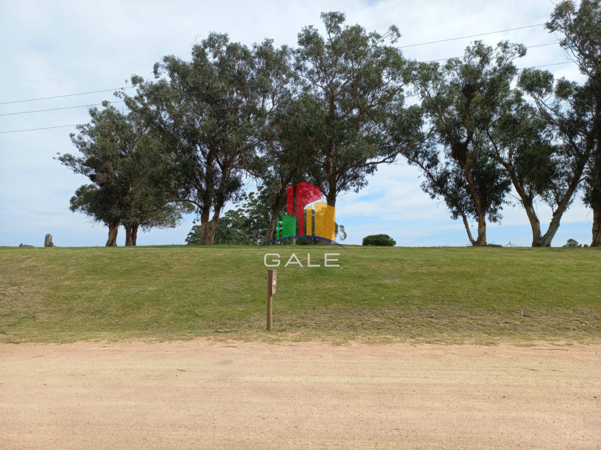 Terreno ID.4981 - Terreno en venta de 5000 m2 en El Quijote