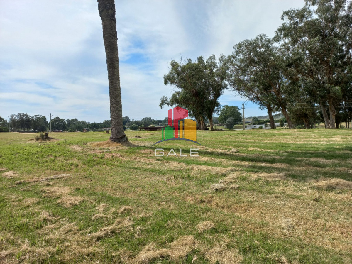 Terreno ID.4981 - Terreno en venta de 5000 m2 en El Quijote