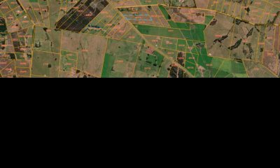 Venta chacra sobre Ruta 104 proxima a Ruta 9