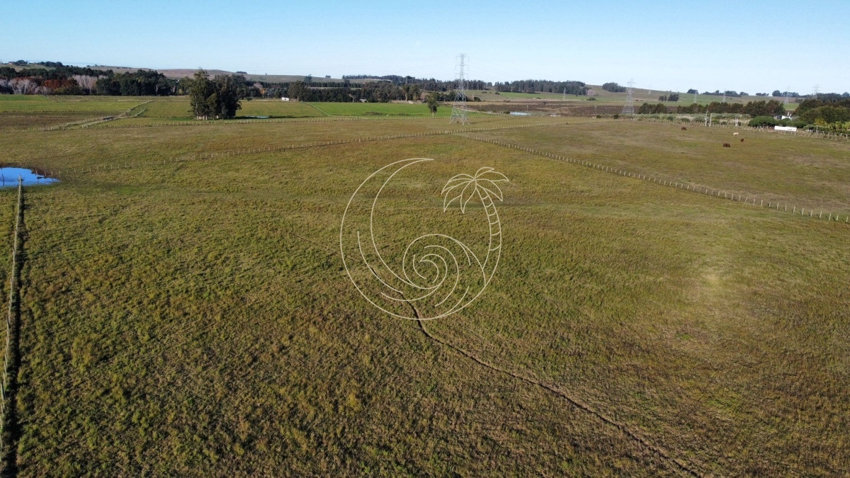 Chacra ID.21092954 - venta de chacra sobre  Ruta 104