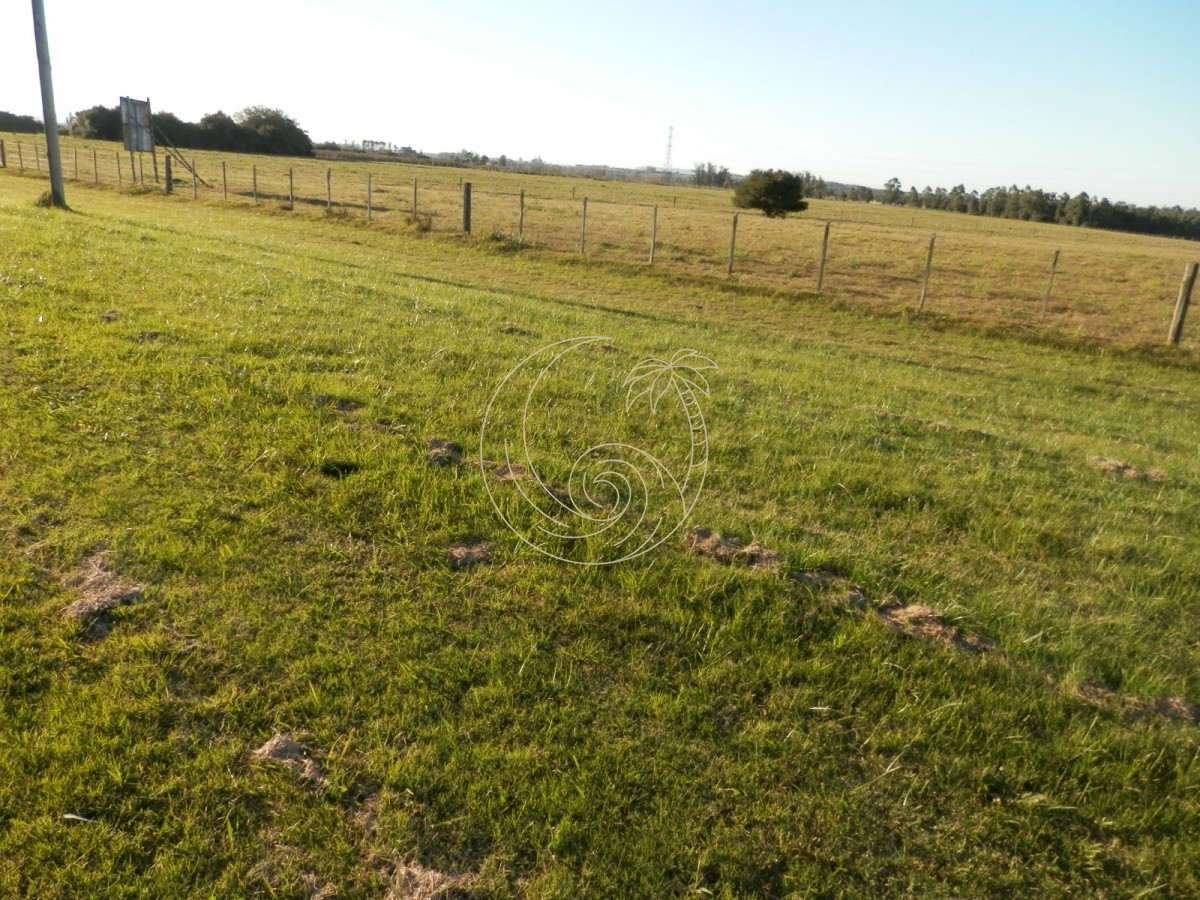 Chacra ID.21092954 - venta de chacra sobre  Ruta 104