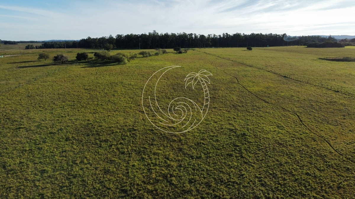 Chacra ID.21092954 - venta de chacra sobre  Ruta 104