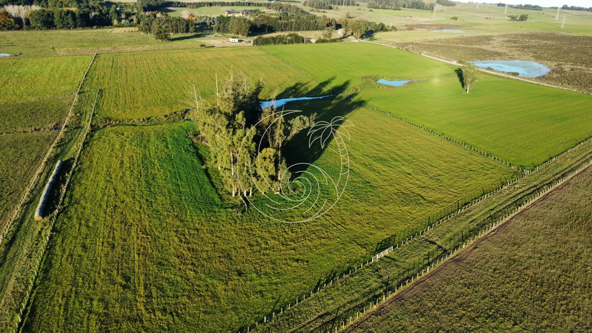 Chacra ID.21092951 - Venta de chacra zona Manantiales
