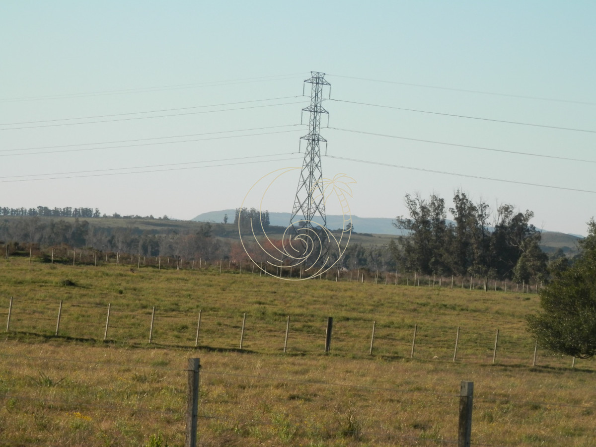 Chacra ID.21092953 - venta de chacra sobre ruta 104