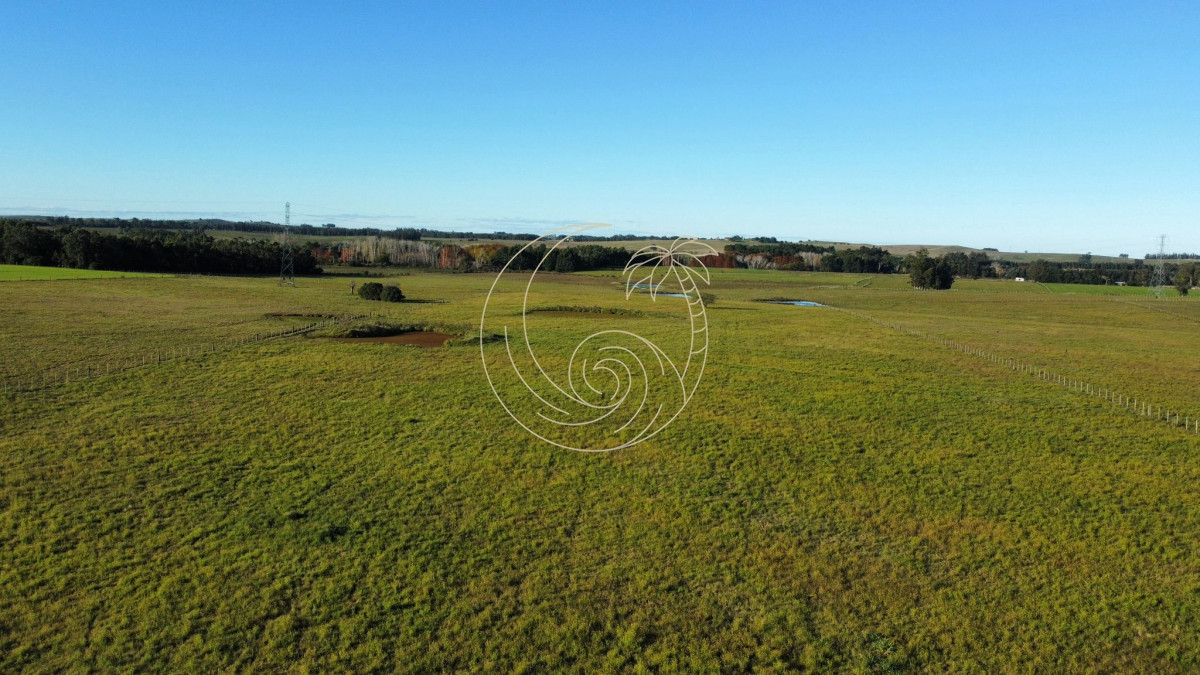 Chacra ID.21092953 - venta de chacra sobre ruta 104