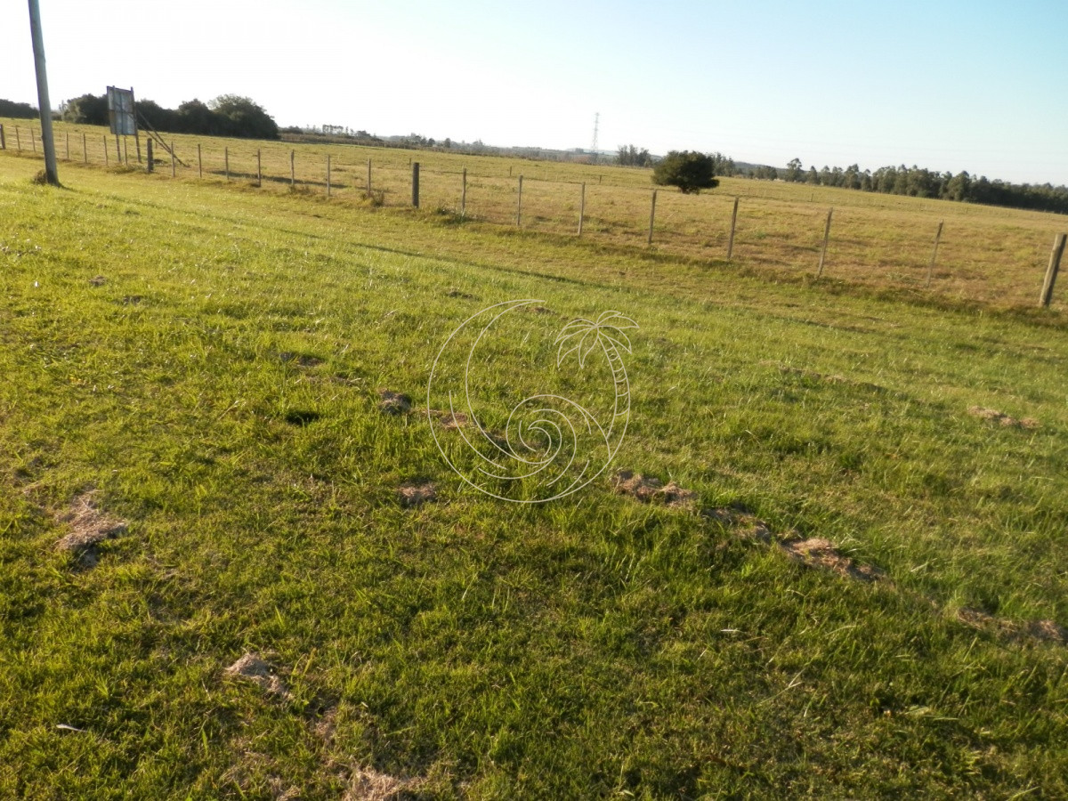 Chacra ID.21092953 - venta de chacra sobre ruta 104