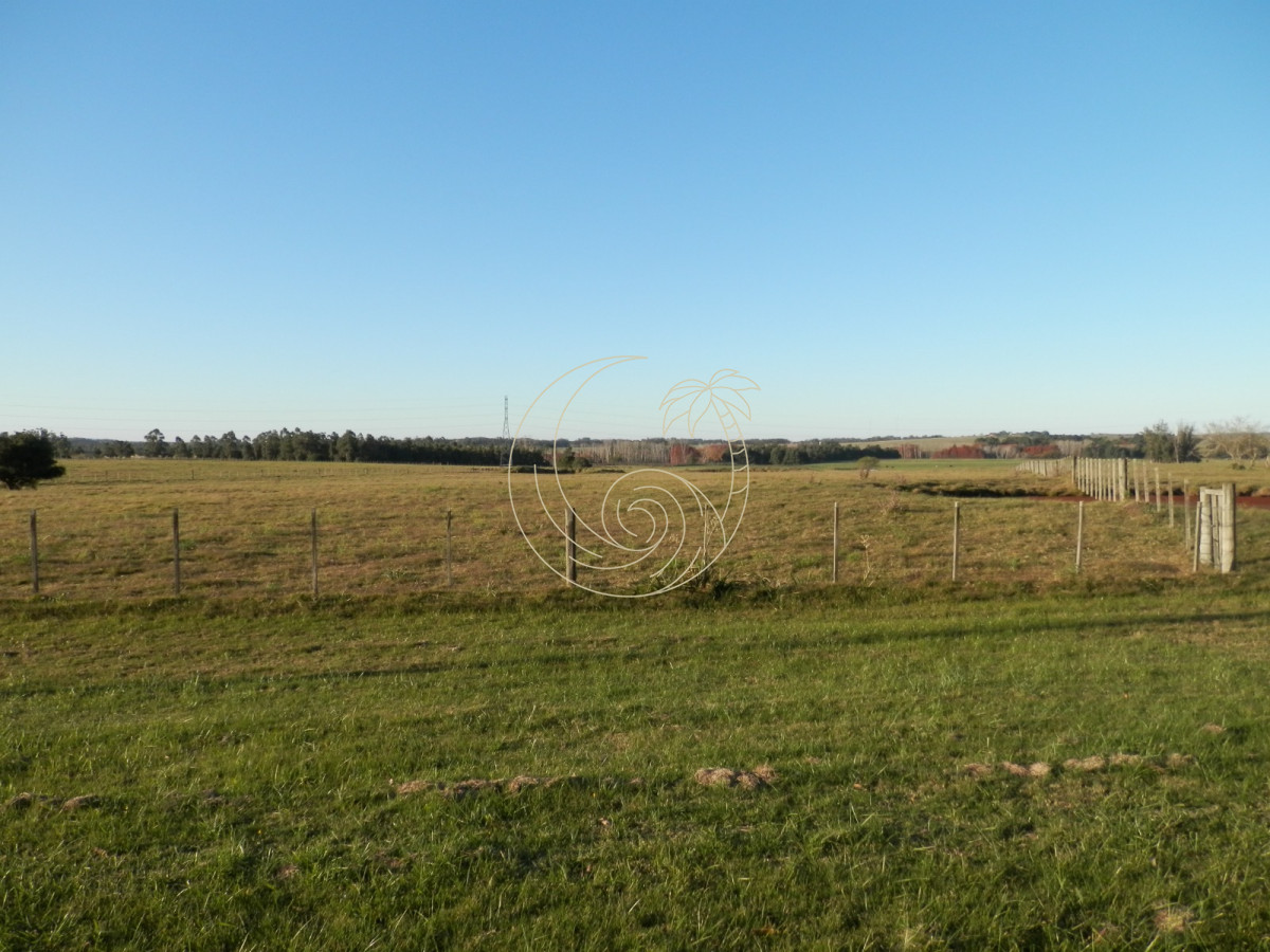 Chacra ID.21092954 - venta de chacra sobre  Ruta 104