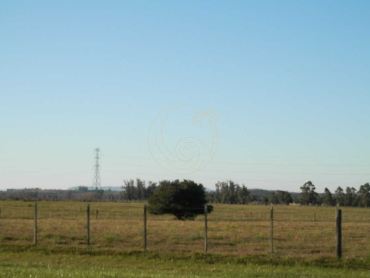 Chacra ID.21092955 - Venta de chacra en Manantiales