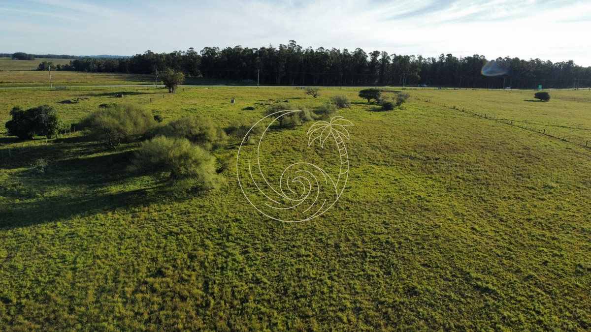 Chacra ID.21092953 - venta de chacra sobre ruta 104