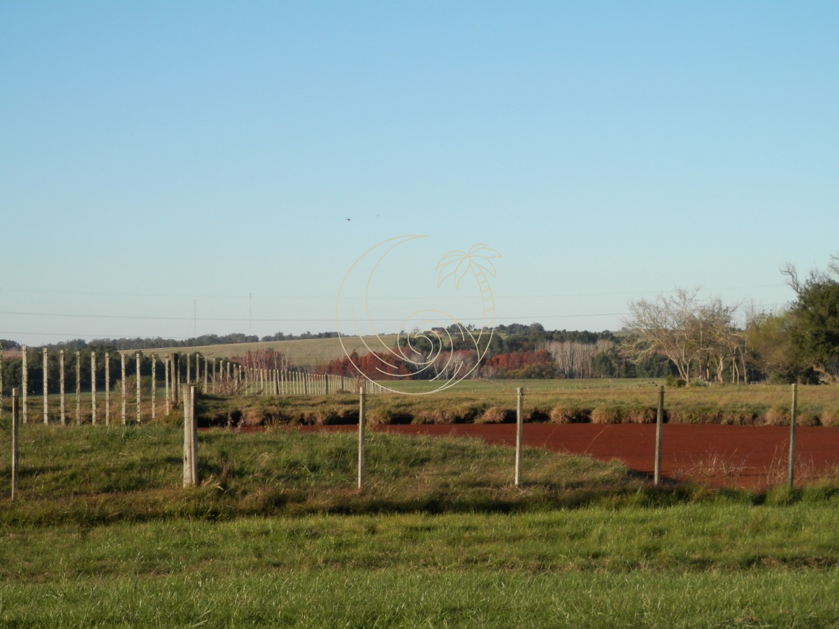 Chacra ID.21092949 - venta de chacras zona Manantiales