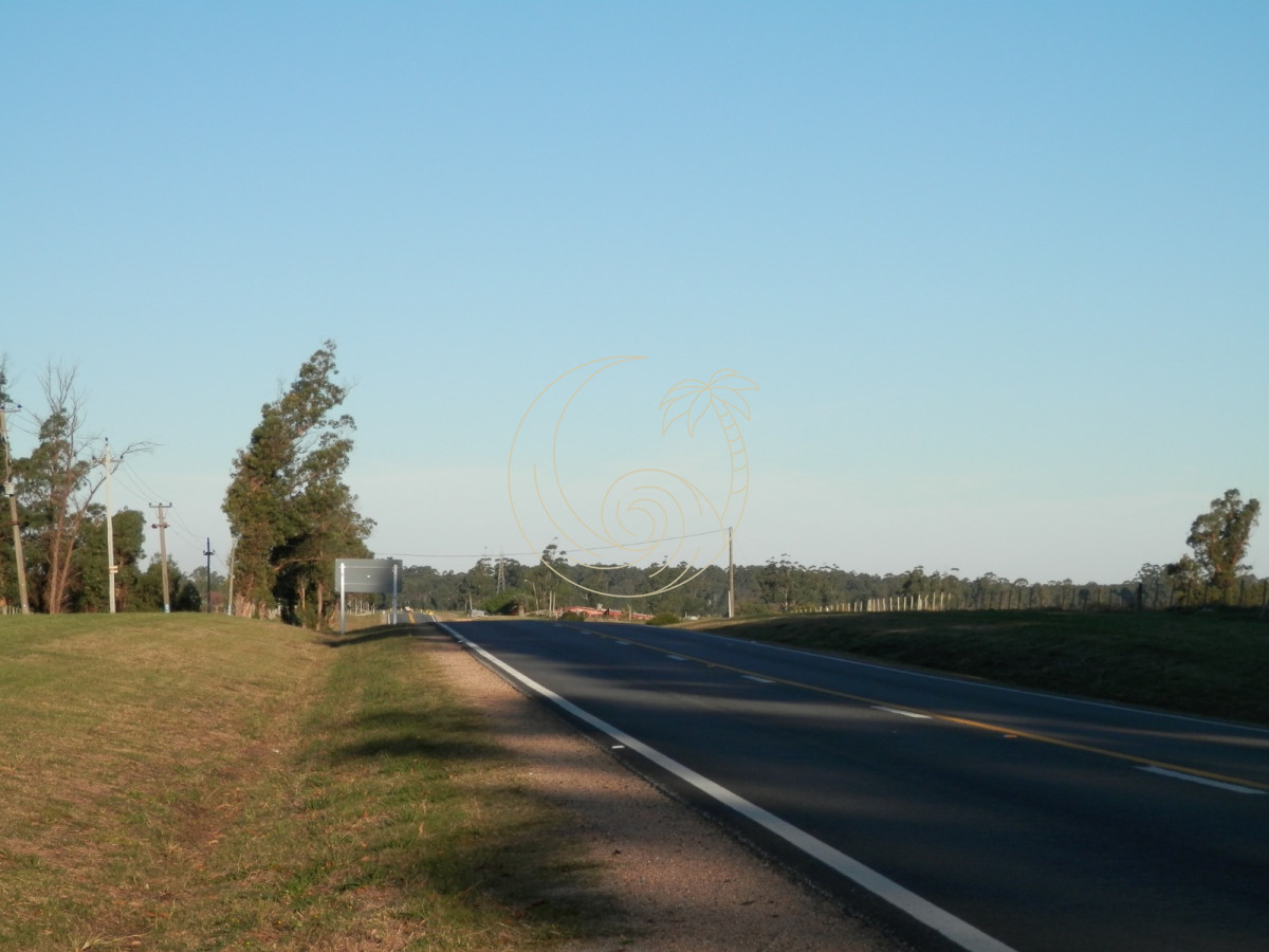 Chacra ID.21092954 - venta de chacra sobre  Ruta 104