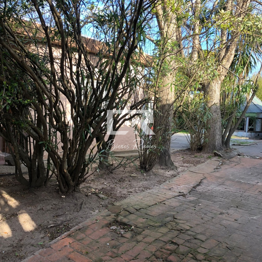 Casa ID.300 - Venta, Oportunidad para inversión, Maldonado, centro
