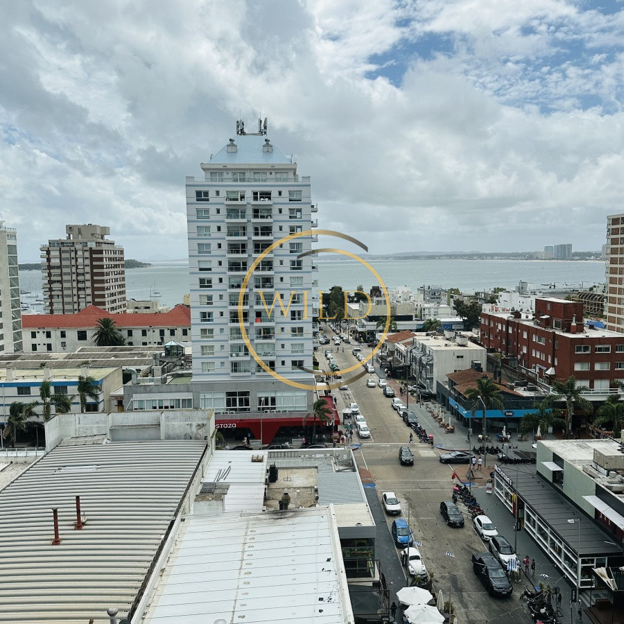 Apartamento ID.5579 - Alquiler y Venta  de apartamento de 3 dormitorios en Punta del Este