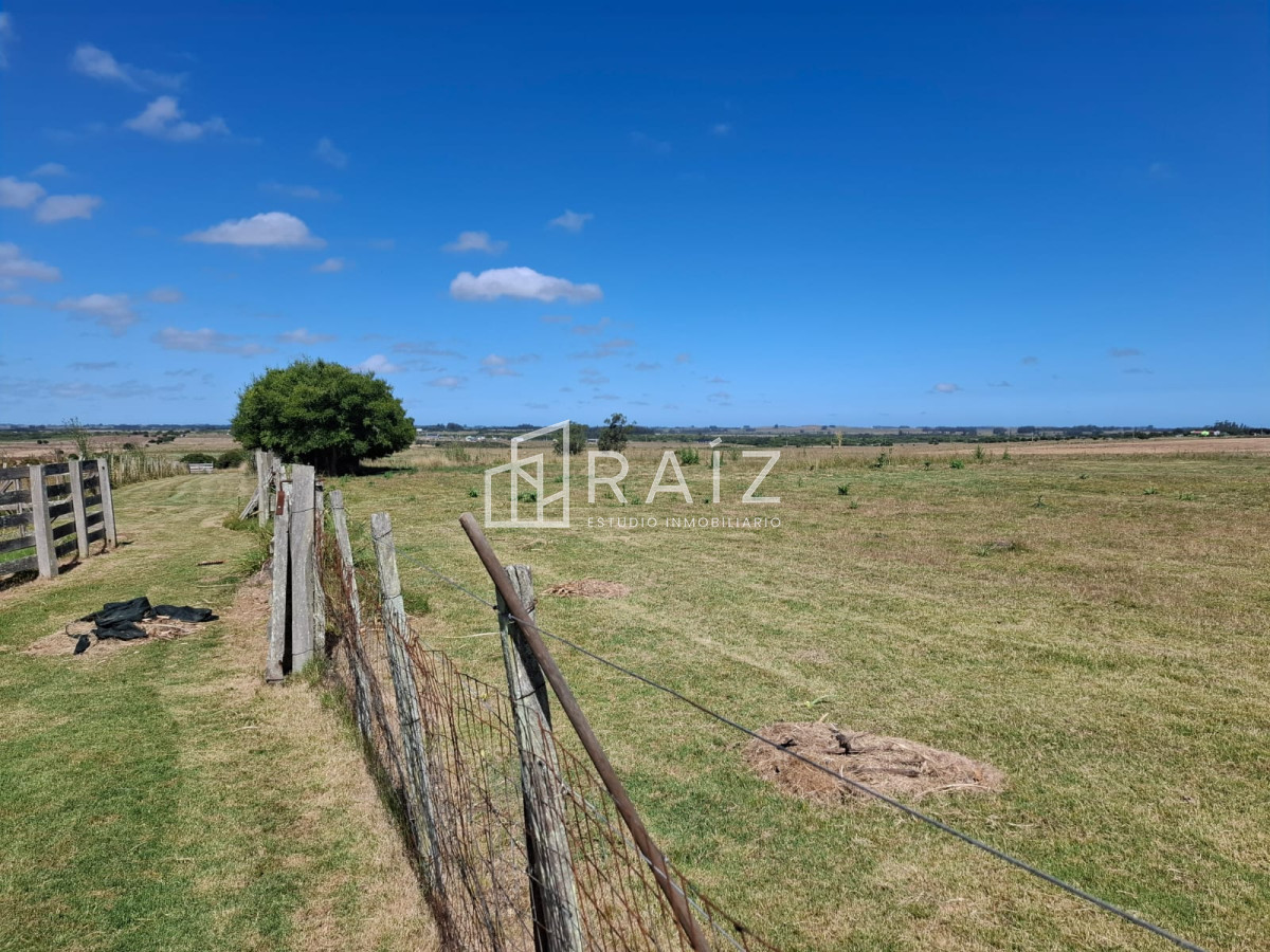 Chacra ID.10116 - Hermosa chacra a 25 kilometros de Punta del ESte