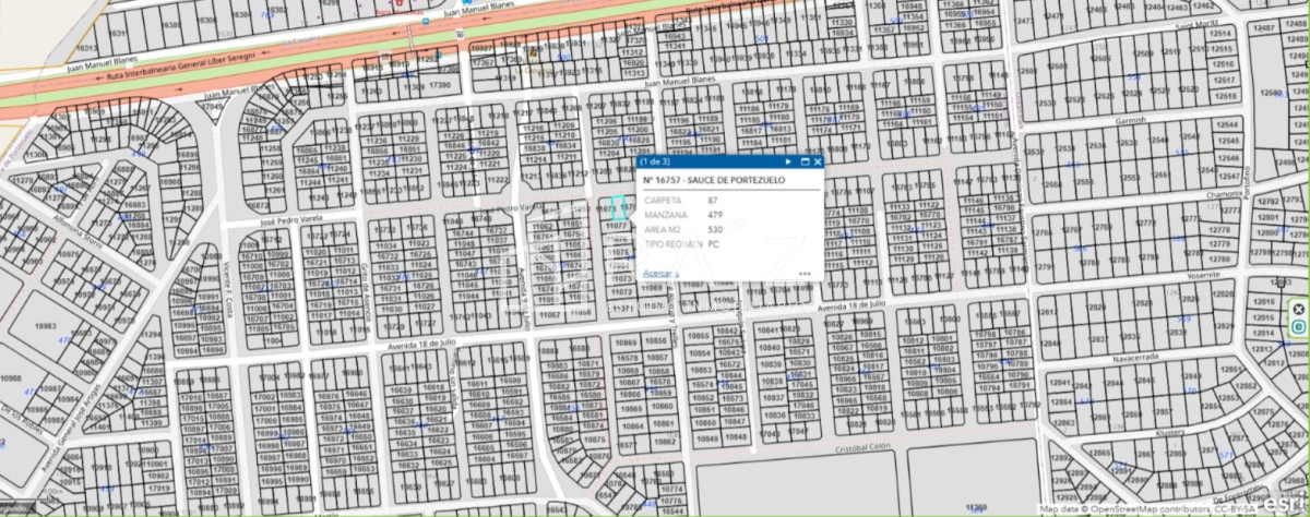 Sauce de Portezuelo - GoPunta - Portal Inmobiliario de Punta del Este - Maldonado