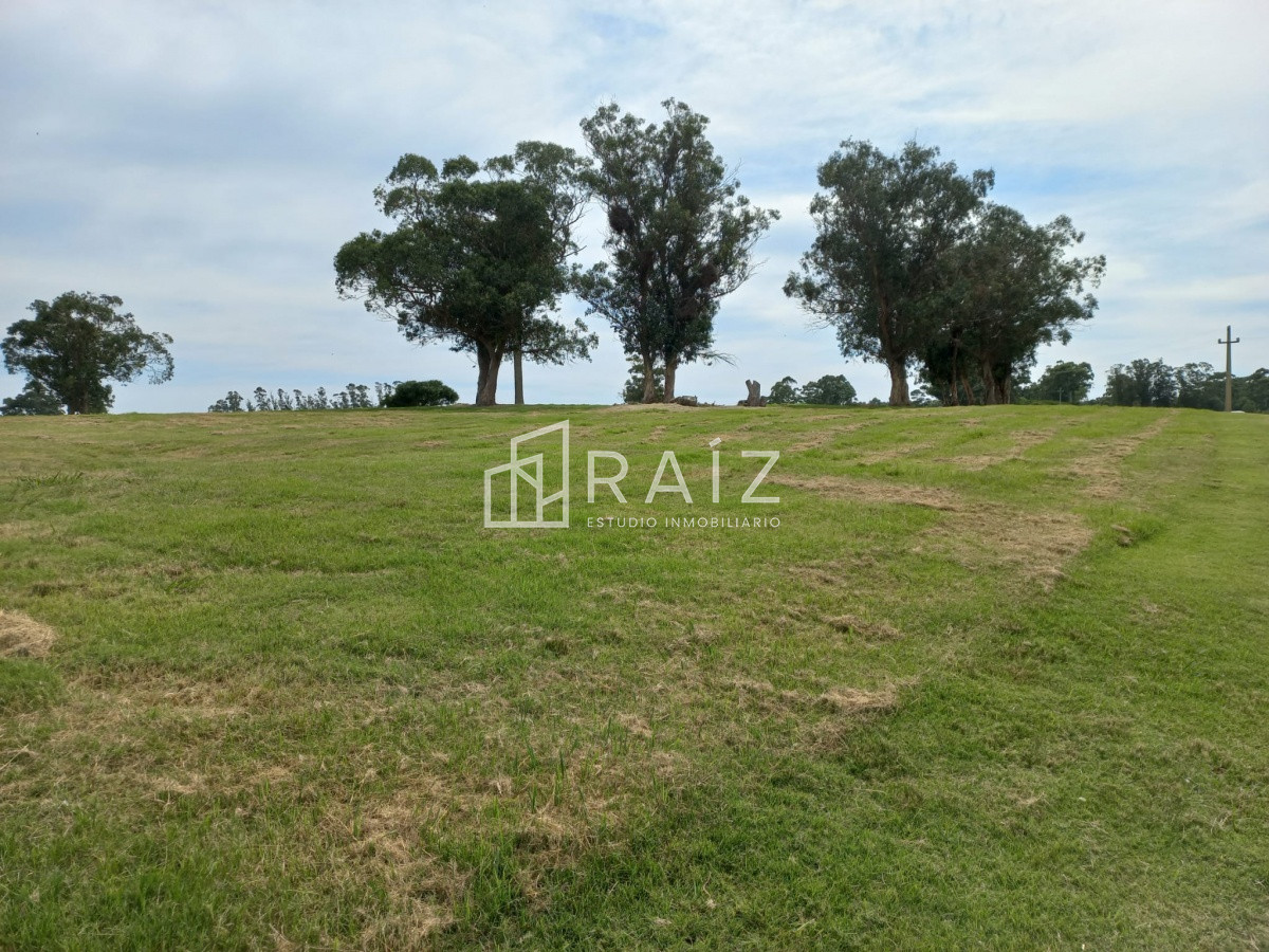 Terreno ID.11932 - Terreno en venta de 5000 m2 en El Quijote