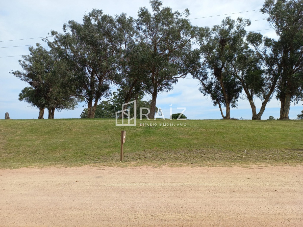 Terreno ID.11932 - Terreno en venta de 5000 m2 en El Quijote