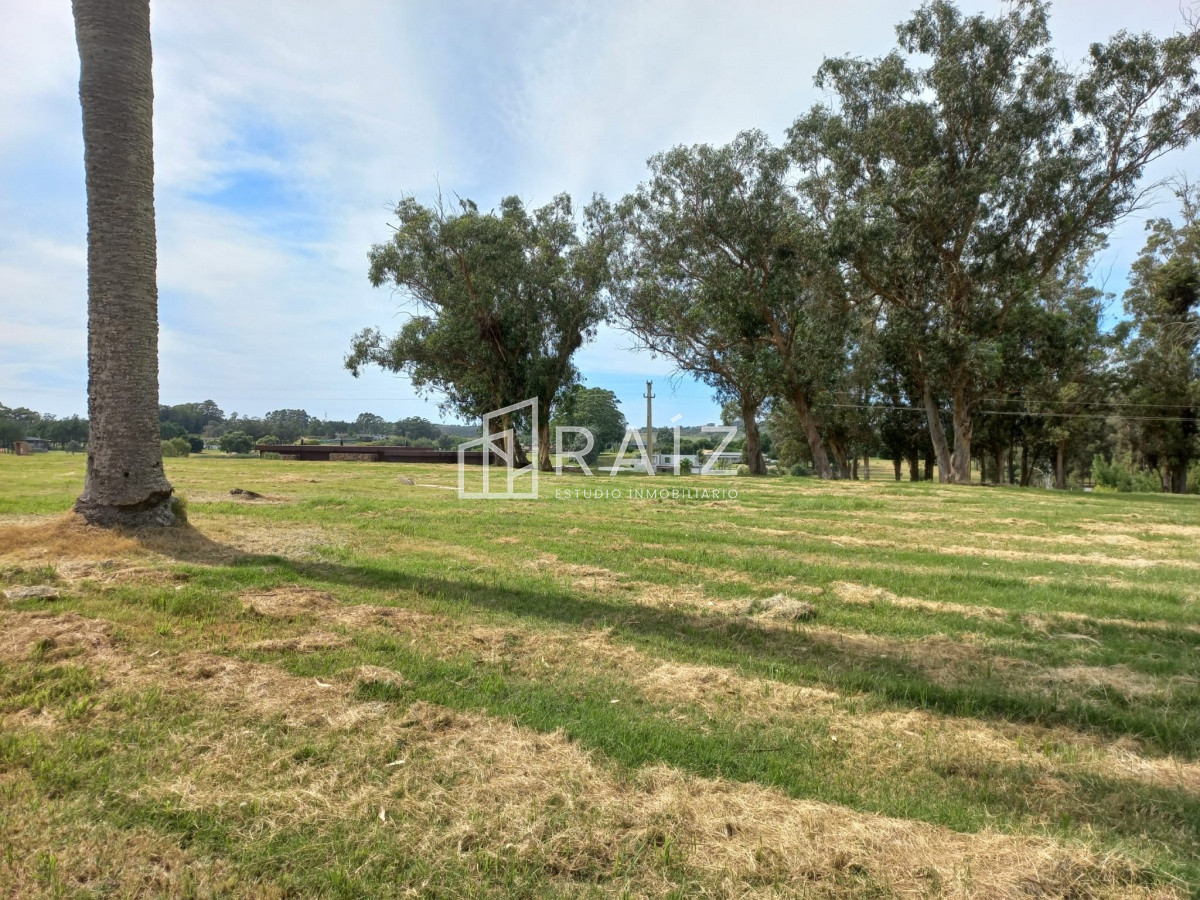 Terreno ID.11932 - Terreno en venta de 5000 m2 en El Quijote