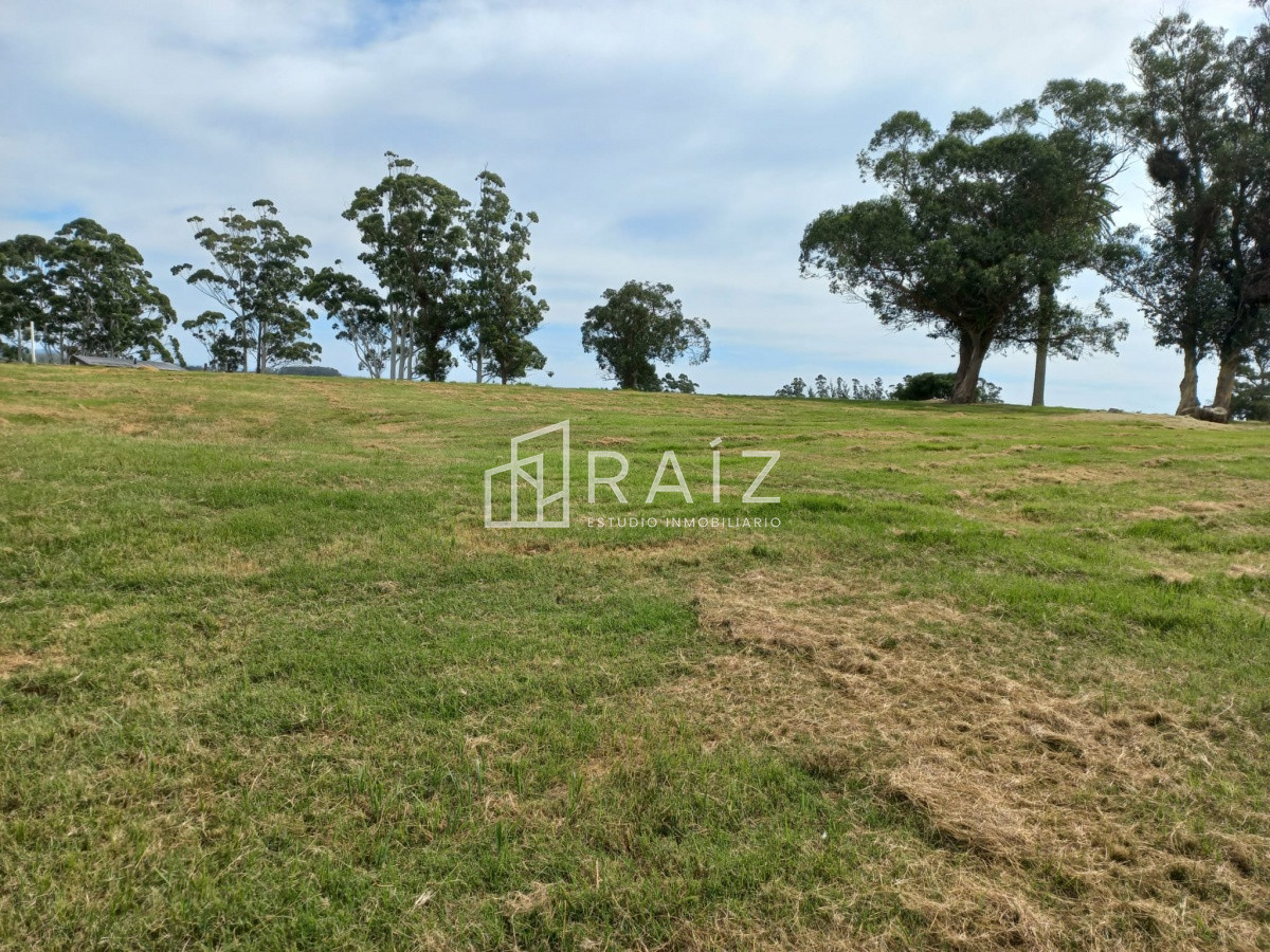 Terreno ID.11932 - Terreno en venta de 5000 m2 en El Quijote