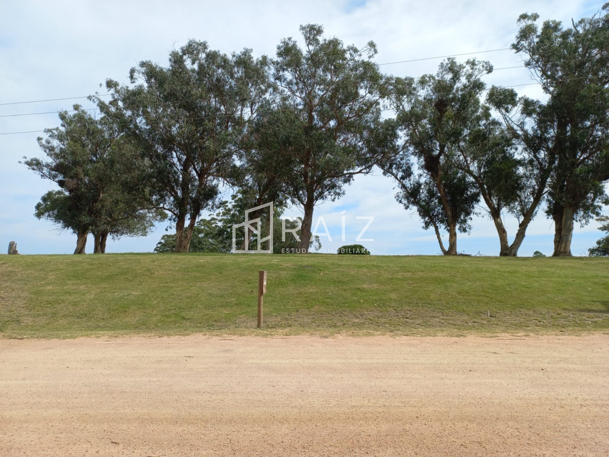 Terreno ID.11932 - Terreno en venta de 5000 m2 en El Quijote