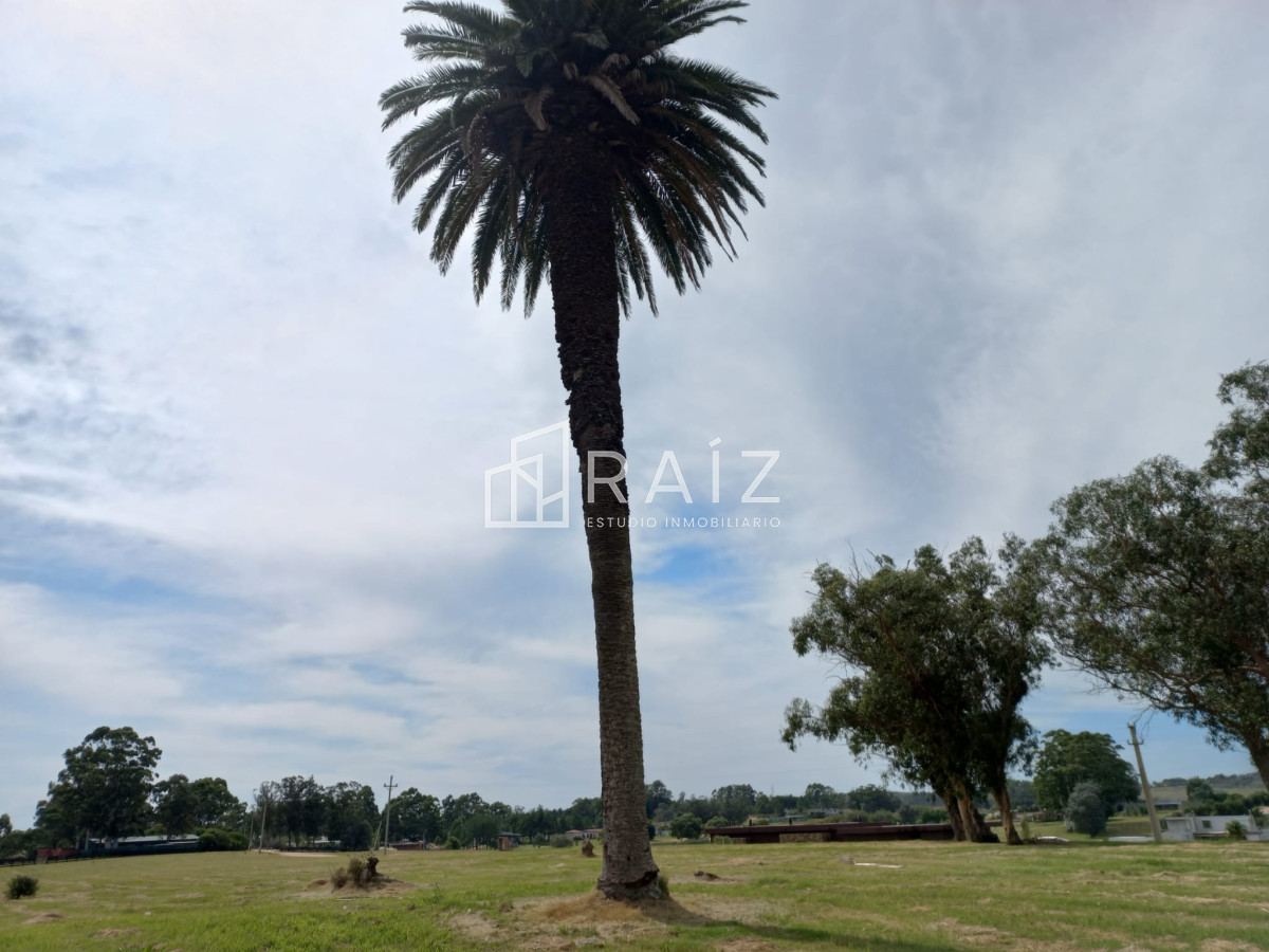 Terreno ID.11932 - Terreno en venta de 5000 m2 en El Quijote