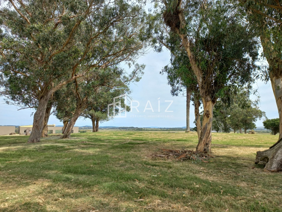 Terreno ID.11932 - Terreno en venta de 5000 m2 en El Quijote