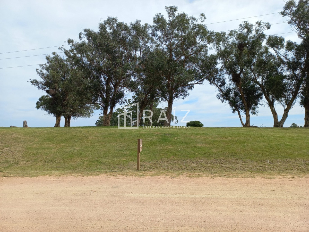 Terreno ID.11932 - Terreno en venta de 5000 m2 en El Quijote