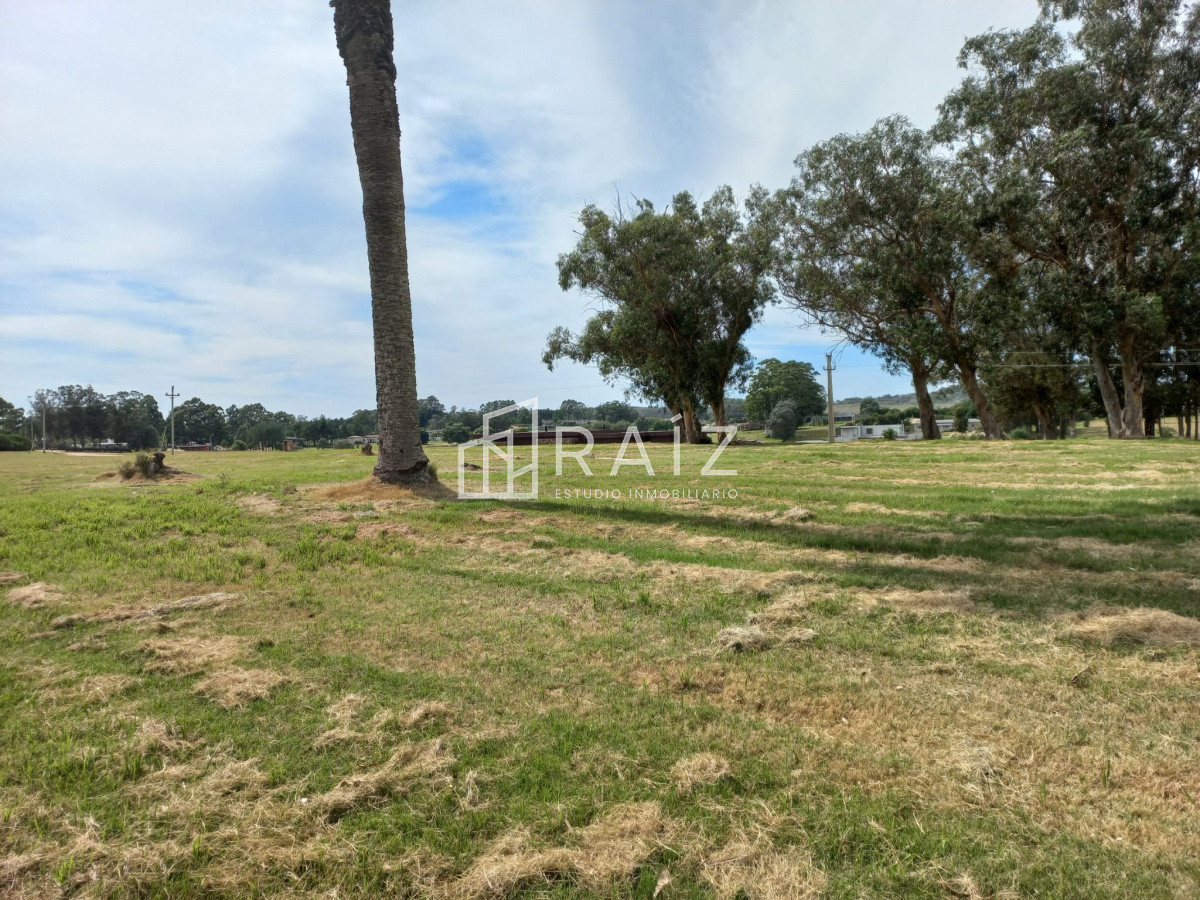 Terreno ID.11932 - Terreno en venta de 5000 m2 en El Quijote