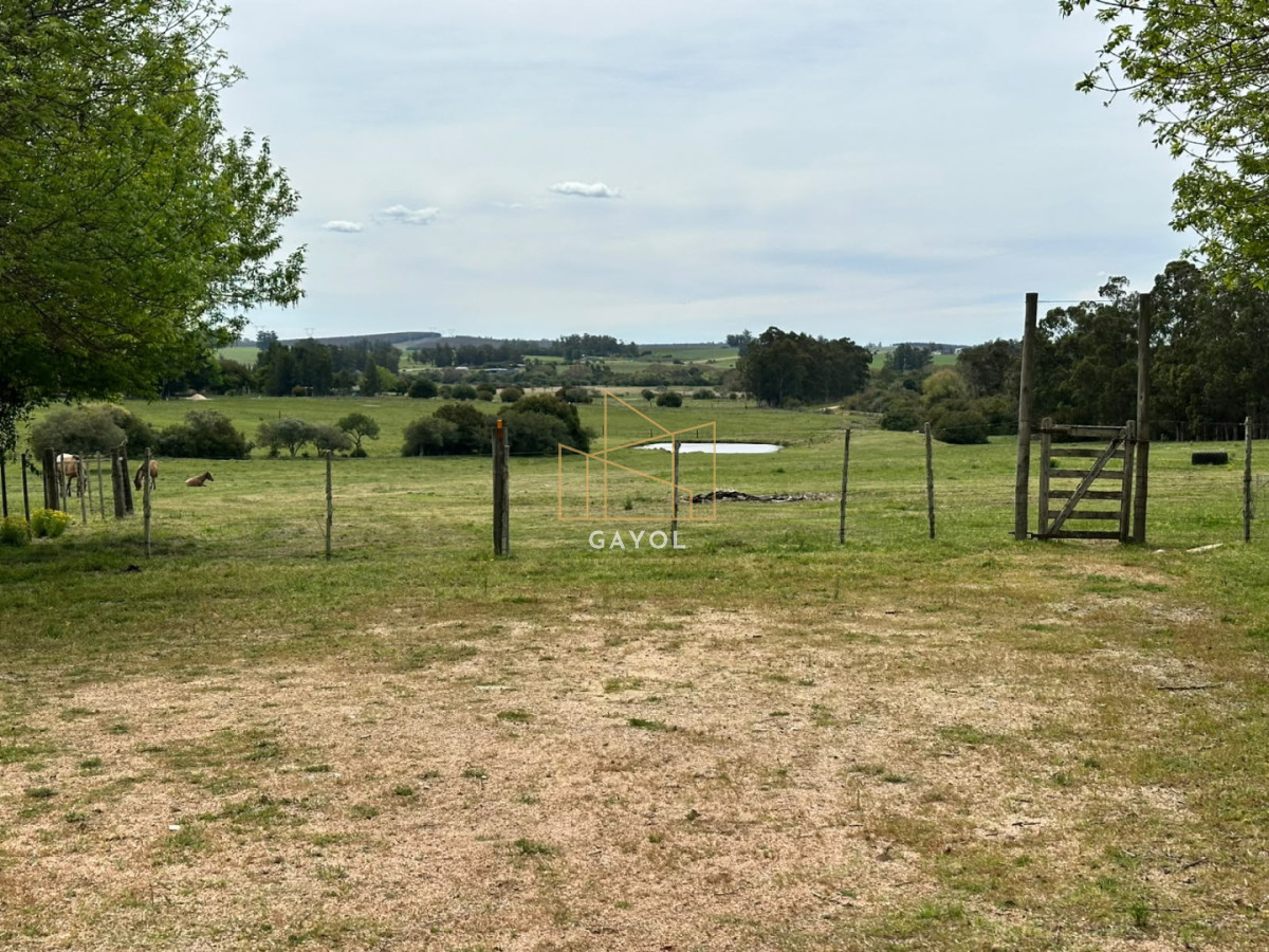 Chacra ID.1603 - Venta de Chacra en Sancarlos