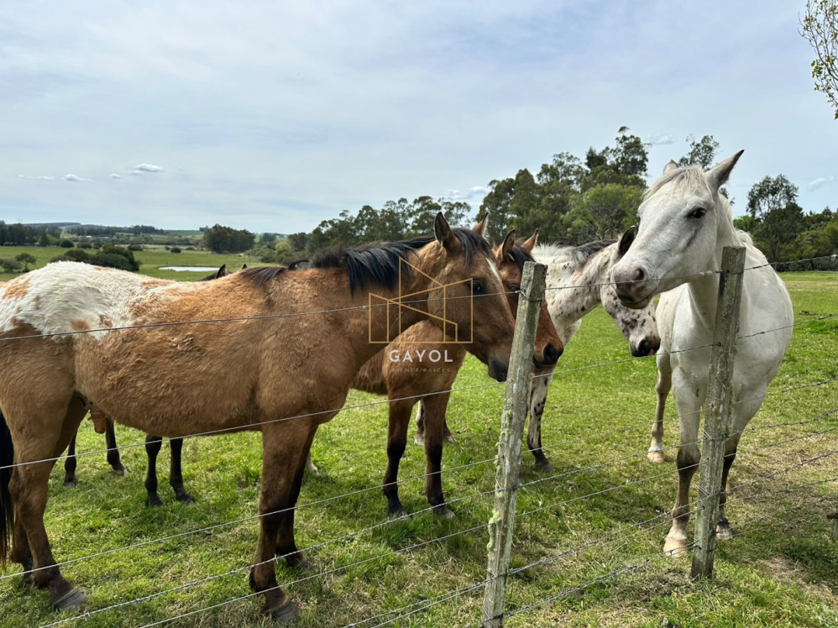 Chacra ID.1603 - Venta de Chacra en Sancarlos