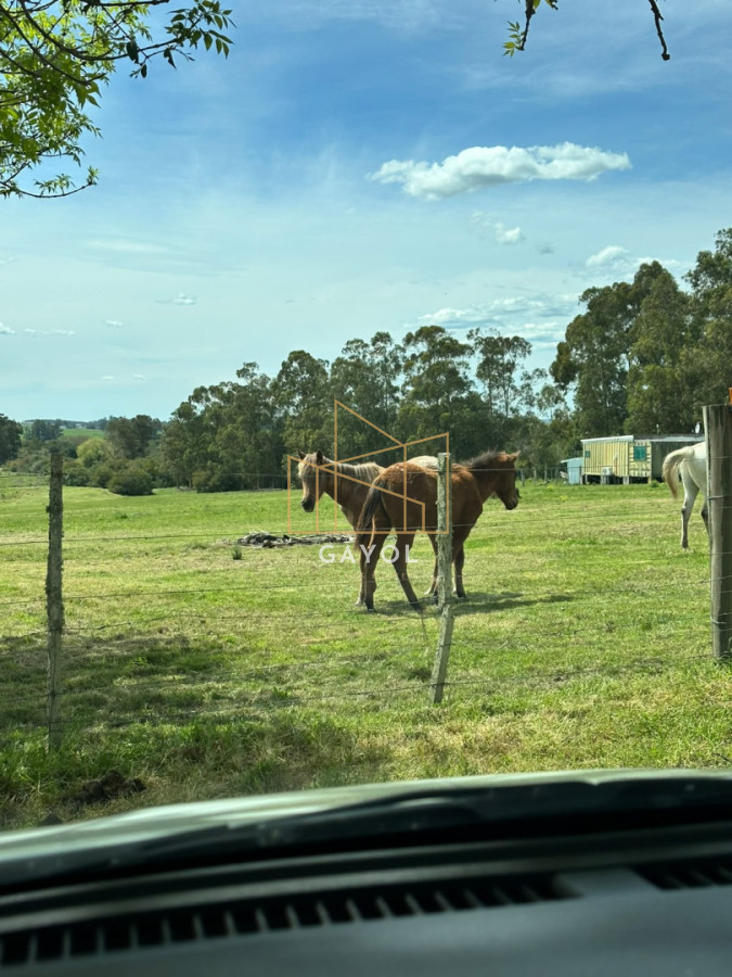 Chacra ID.1603 - Venta de Chacra en Sancarlos