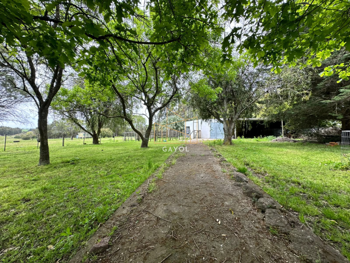 Chacra ID.1603 - Venta de Chacra en Sancarlos