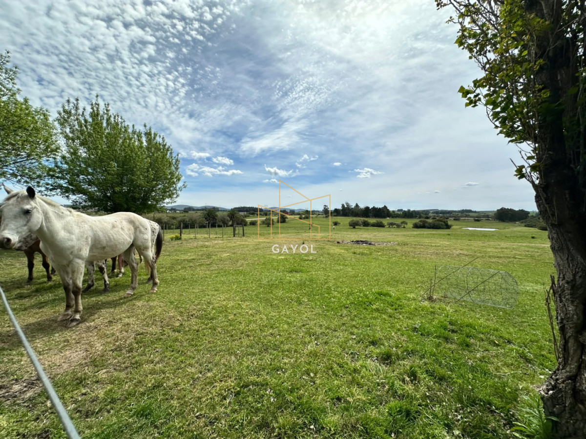Chacra ID.1603 - Venta de Chacra en Sancarlos