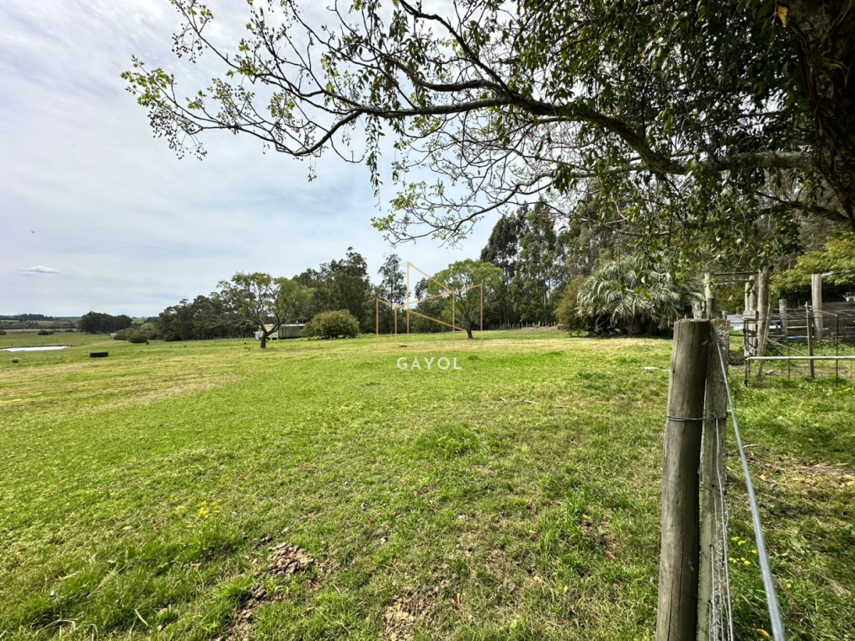 Chacra ID.1603 - Venta de Chacra en Sancarlos