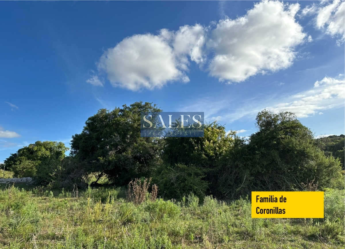 Chacra ID.618 -  chacra en venta de 5 hectareas y media en Pueblo Eden 
