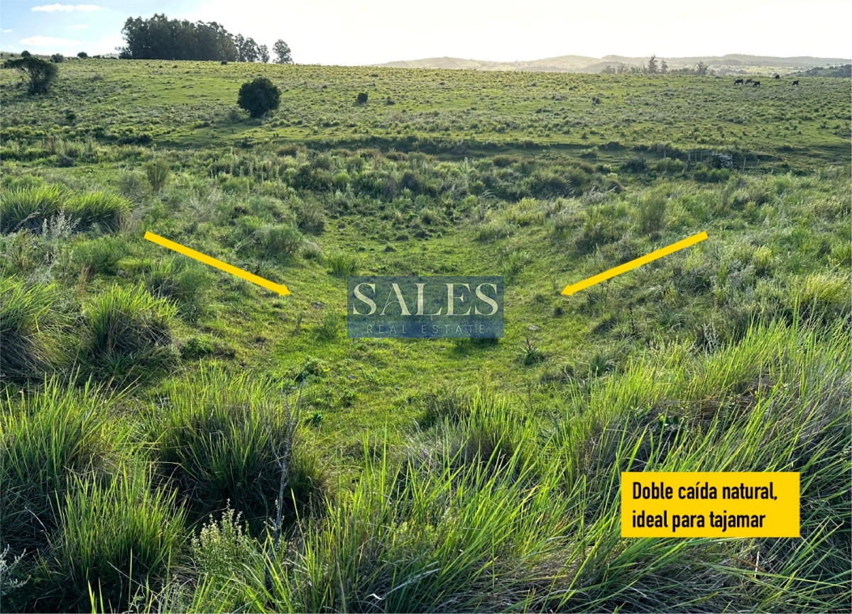 Chacra ID.618 -  chacra en venta de 5 hectareas y media en Pueblo Eden 