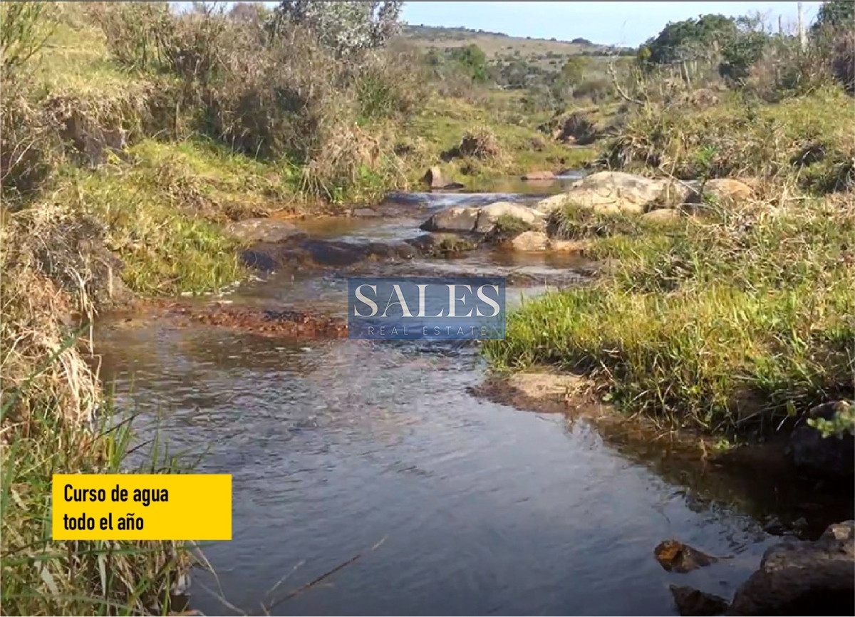 Chacra ID.618 -  chacra en venta de 5 hectareas y media en Pueblo Eden 