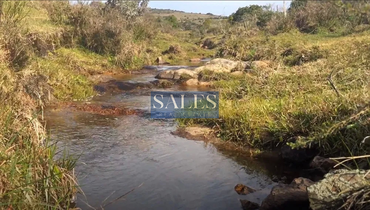 Chacra ID.618 -  chacra en venta de 5 hectareas y media en Pueblo Eden 