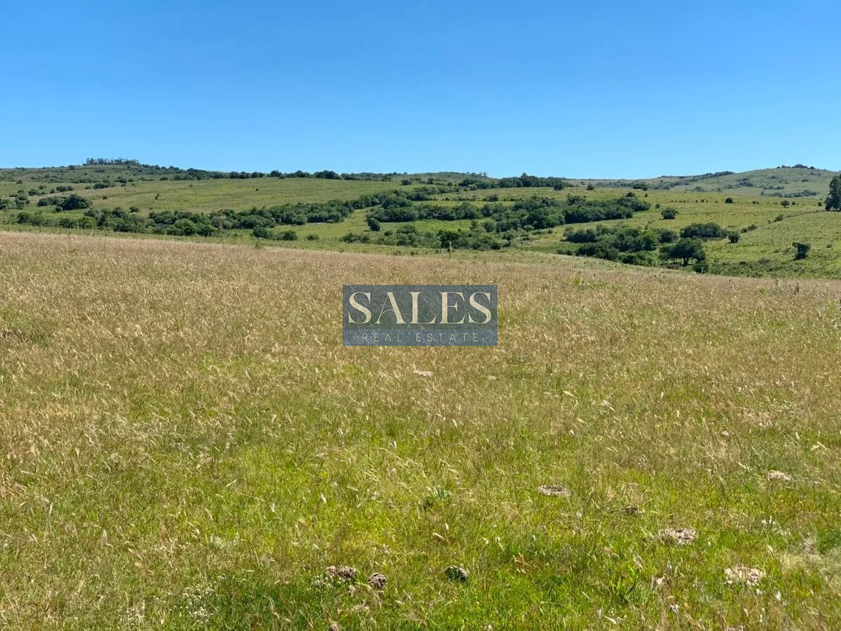 Chacra ID.618 -  chacra en venta de 5 hectareas y media en Pueblo Eden 