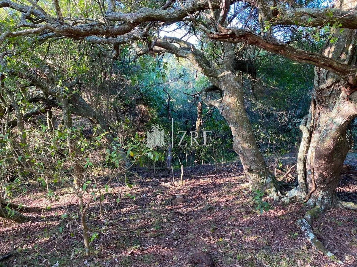 Chacra ID.1088 - Venta de chacra con lago en Garzon