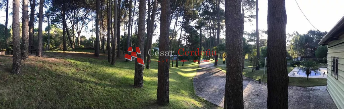 Casa ID.1786 - VENTA - Casa de 4 dormitorios en venta en Punta Ballena