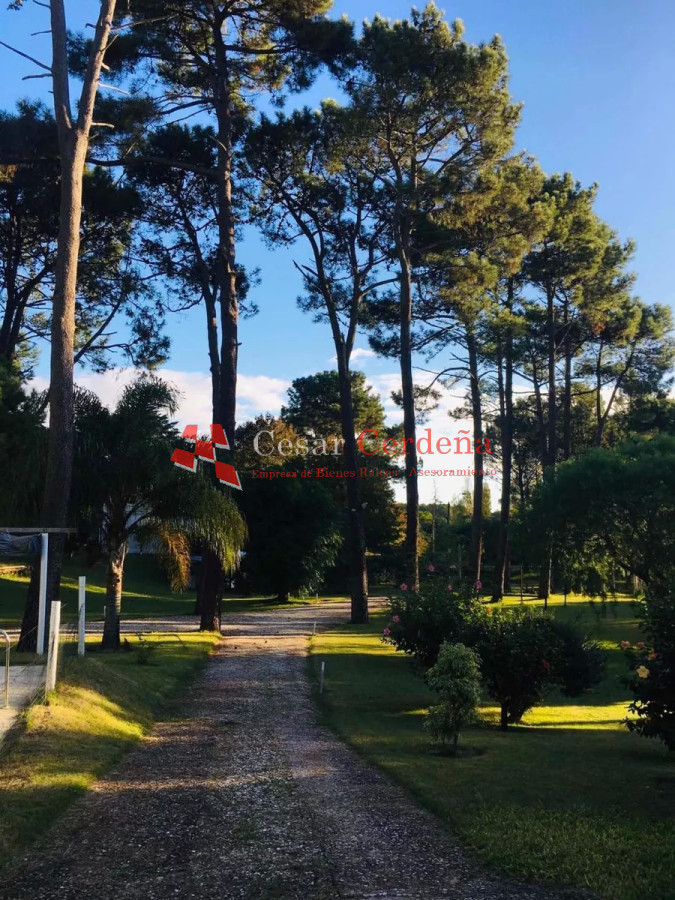 Casa ID.1786 - VENTA - Casa de 4 dormitorios en venta en Punta Ballena