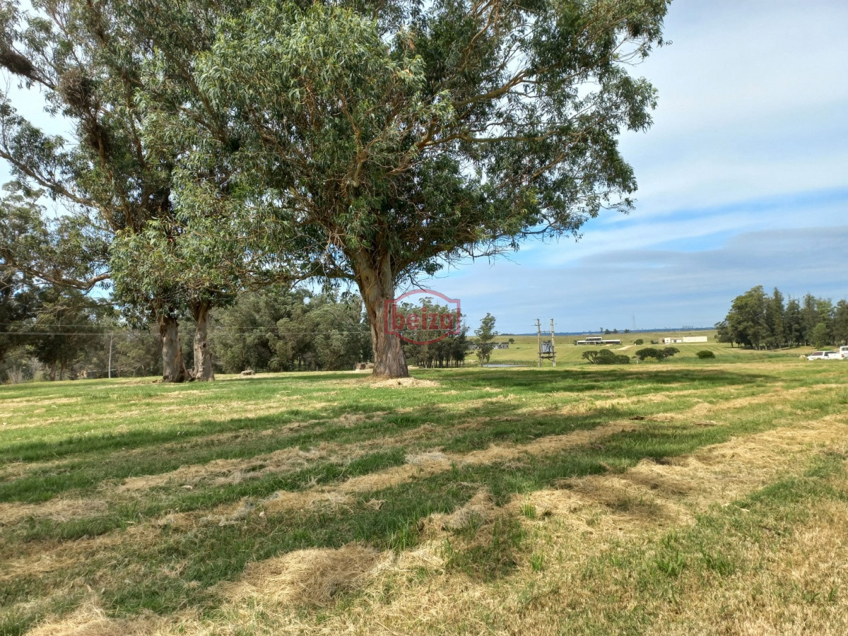 Terreno ID.164868 - Venta de lote en el Quijote