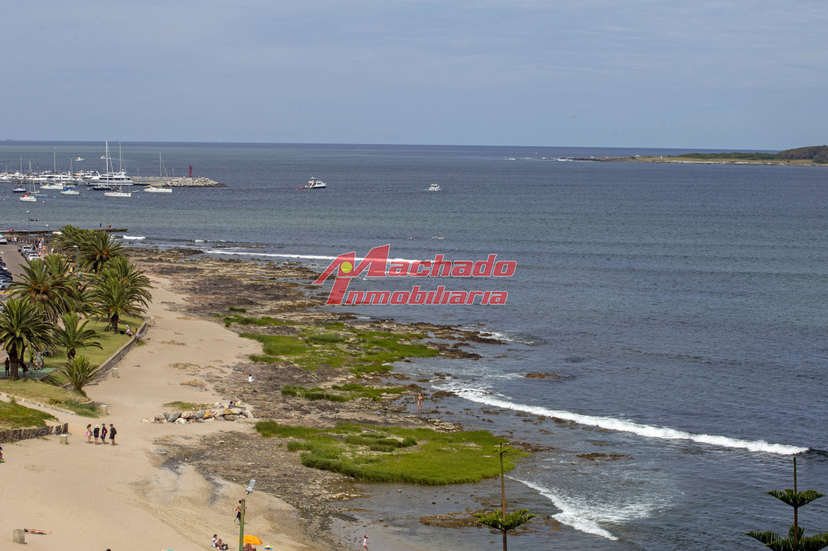 Mansa - GoPunta - Portal Inmobiliario de Punta del Este - Maldonado