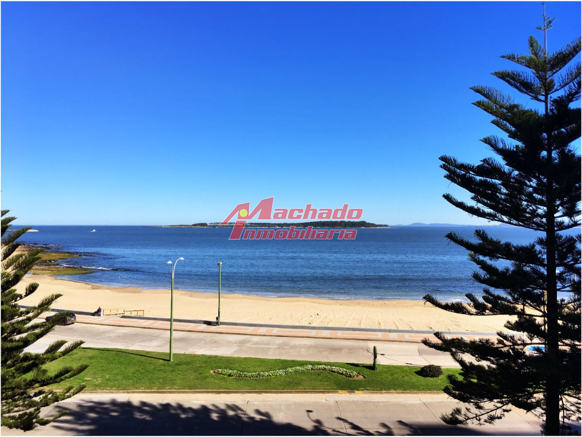 Mansa - GoPunta - Portal Inmobiliario de Punta del Este - Maldonado