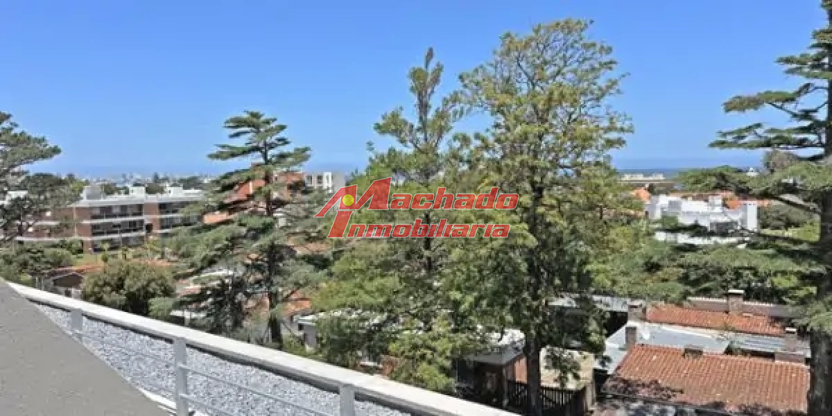 Camino a la Laguna - GoPunta - Portal Inmobiliario de Punta del Este - Maldonado