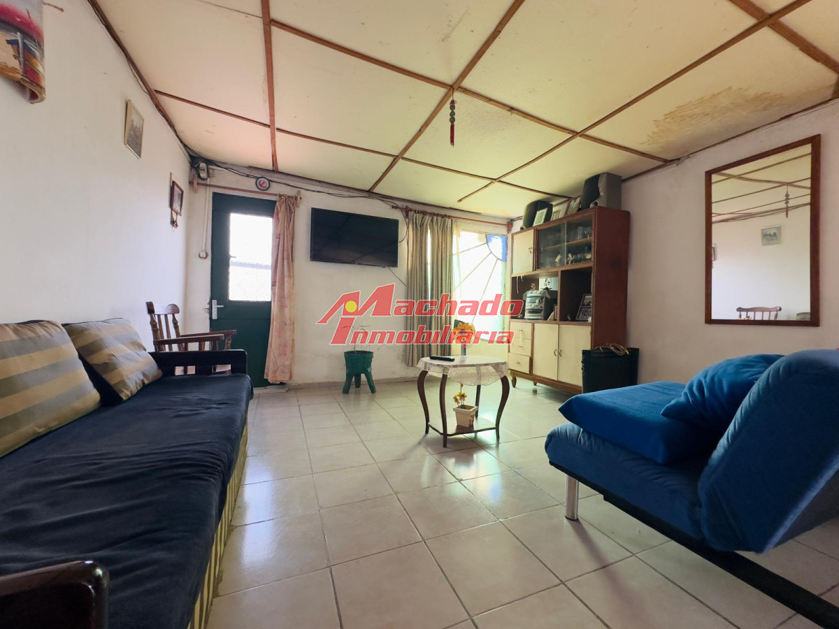 Paysandú - GoPunta - Portal Inmobiliario de Punta del Este - Maldonado
