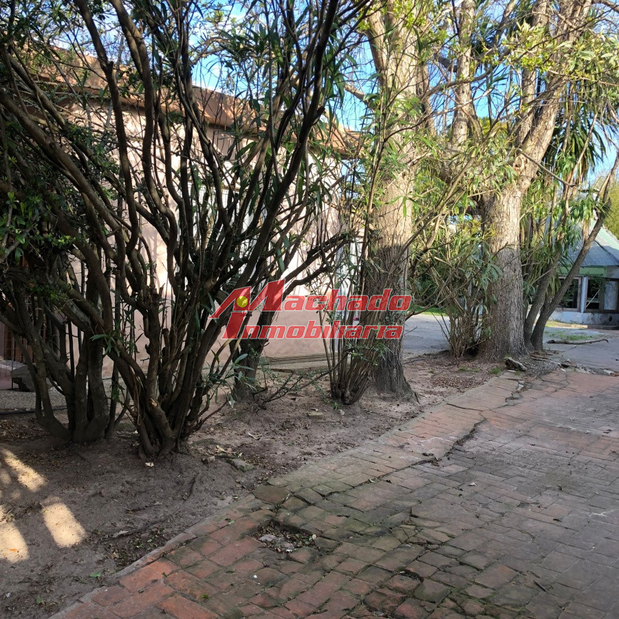 Centro Maldonado - GoPunta - Portal Inmobiliario de Punta del Este - Maldonado