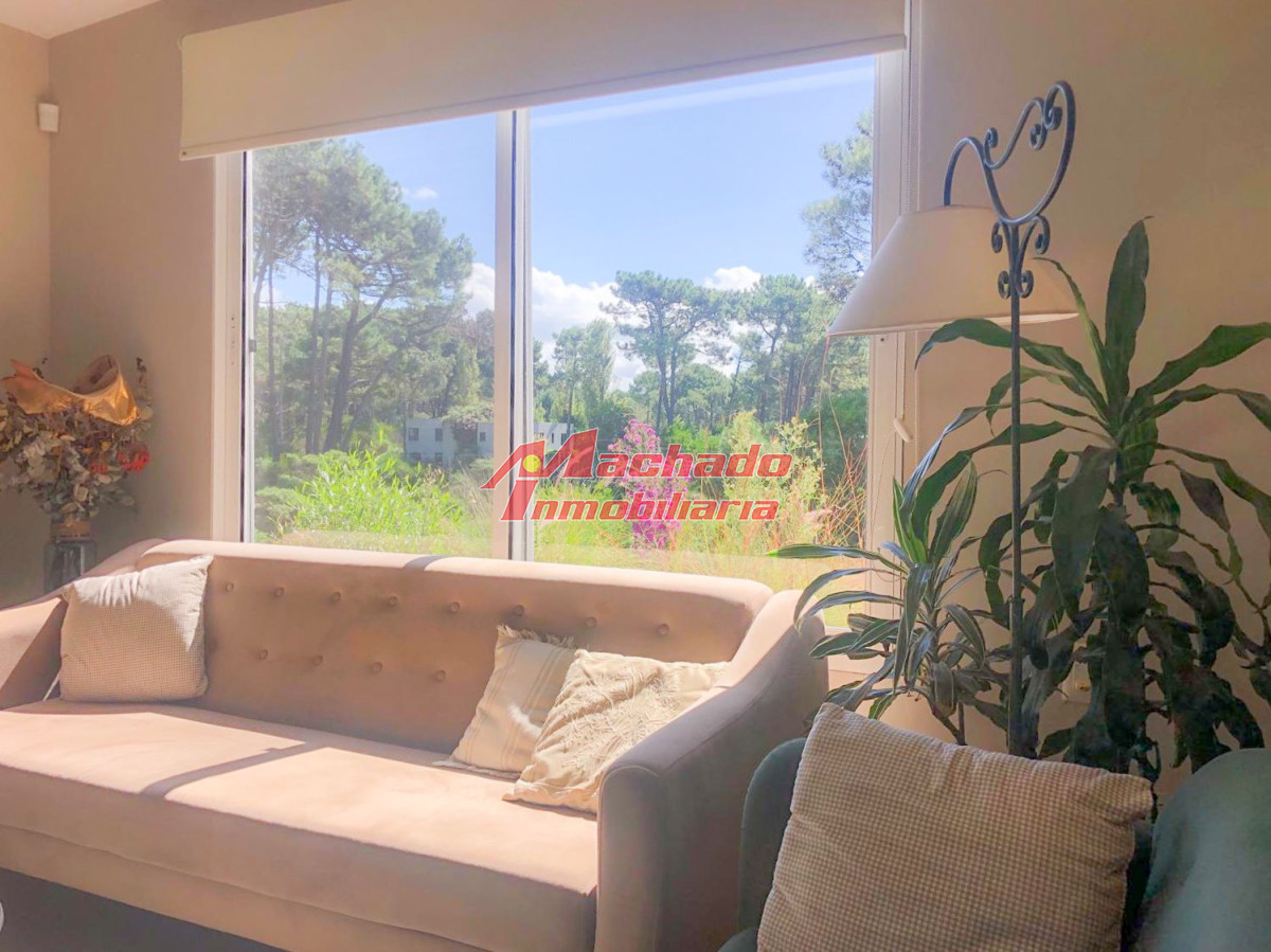 Chihuahua - GoPunta - Portal Inmobiliario de Punta del Este - Maldonado
